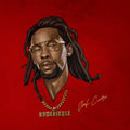 Jah Cure - Undeniable