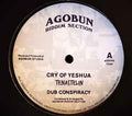 Tenastelin, Agobun Riddim Section – Cry Of Yeshua / Digital World