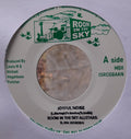 Room In The Sky All Stars Ft. Vin Gordon ‎– Joyful Noise