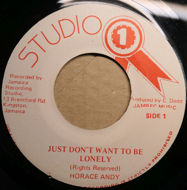 Horace Andy ‎– Just Don't Want To Be Lonely