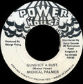 Micheal Palmer – Gunshot A Bust