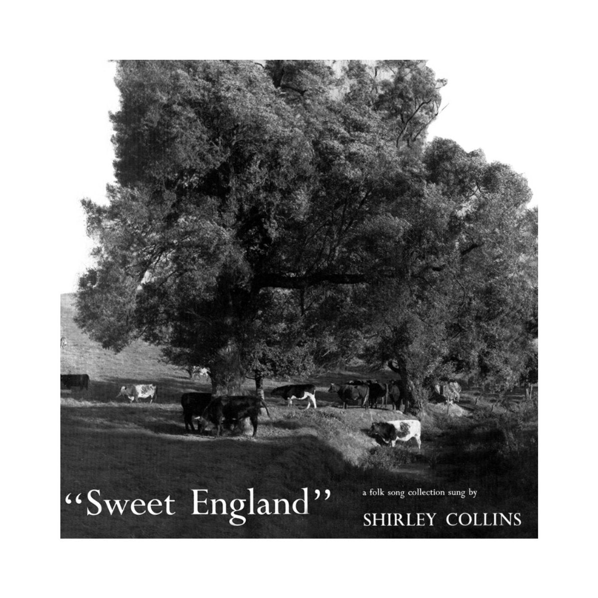Shirley Collins – Sweet England (CD)