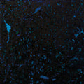 Zenker Brothers ‎– Immersion