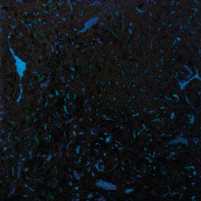 Zenker Brothers ‎– Immersion