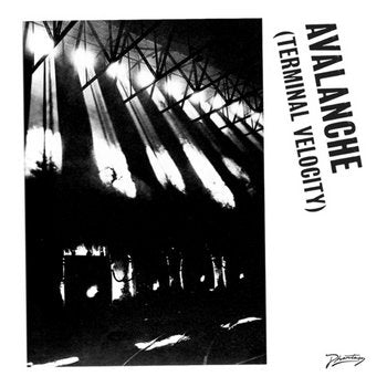 Boys Noize & Erol Alkan Feat. Jarvis Cocker ‎– Avalanche (Terminal Velocity)