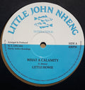 Little Howie - What a Calamity