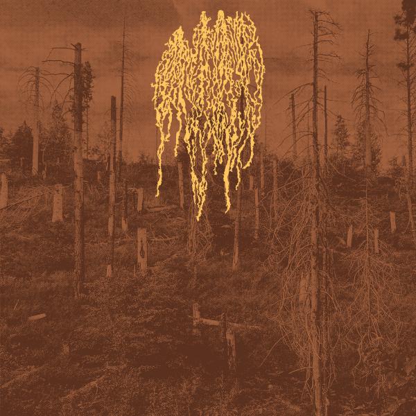 Petrozavodsk - Forest Fire