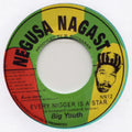 Big Youth Every Nigger Is A Star