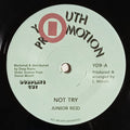 Junior Reid – Not Try