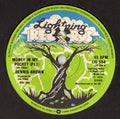 Dennis Brown ‎– Money In My Pocket