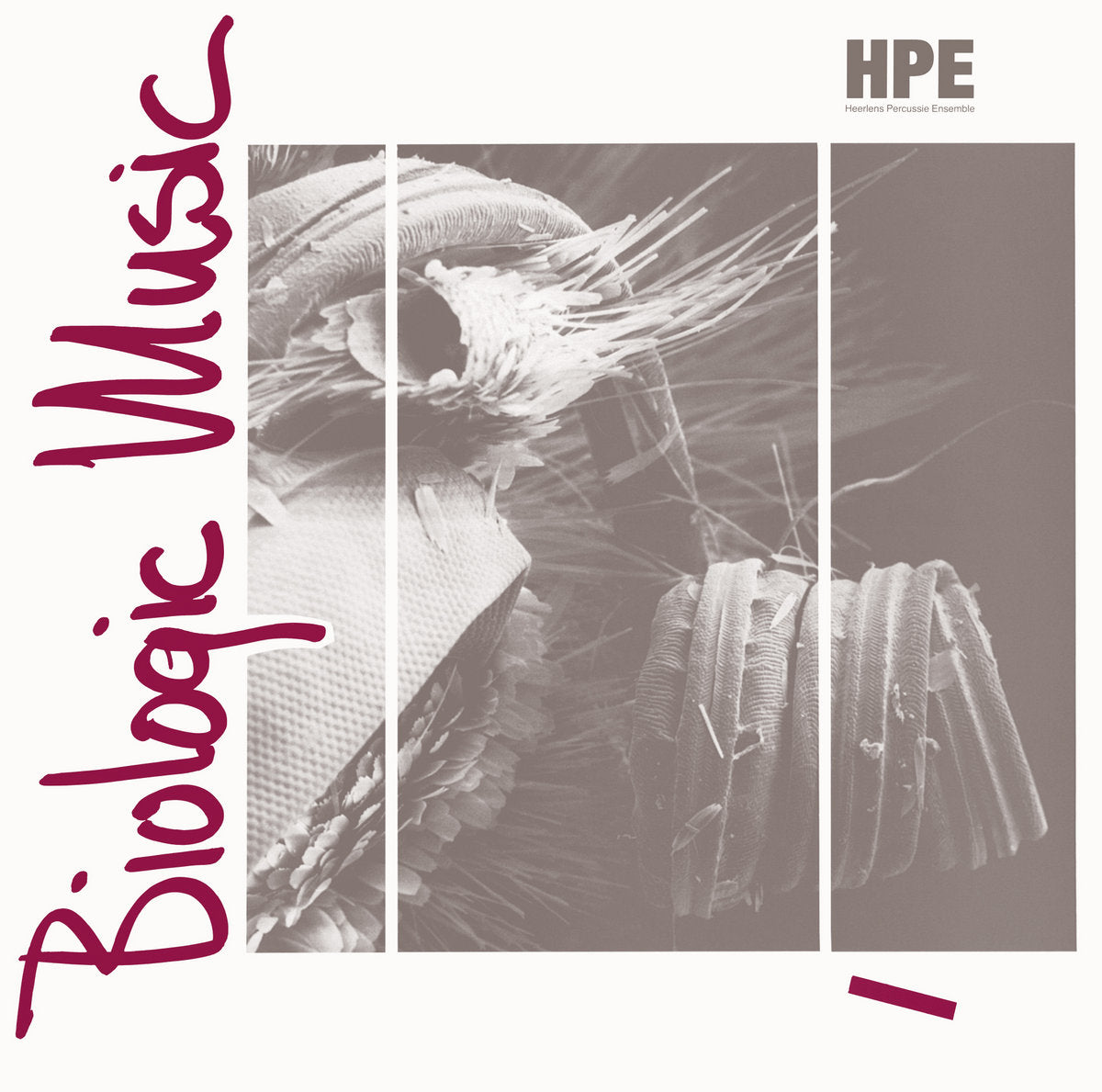 Heerlens Percussie Ensemble – Biologic Music