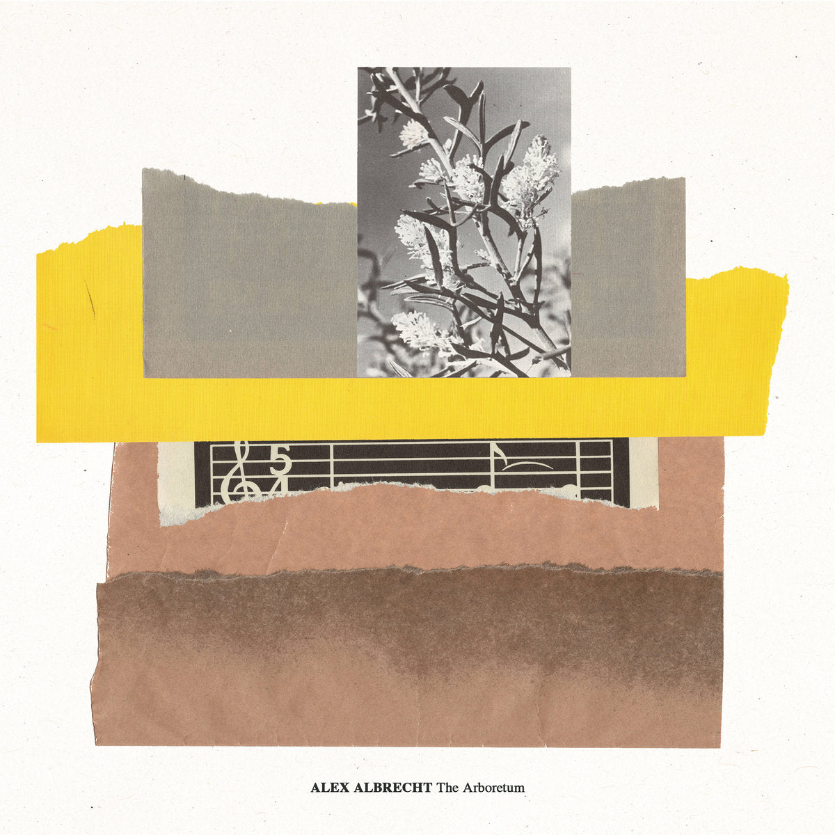 Alex Albrecht – The Arboretum