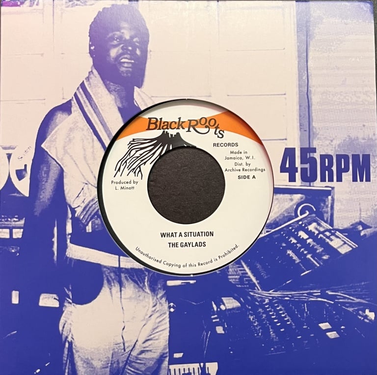 The Gaylads ‎– What A Situation