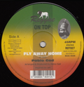 Pablo Gad ‎– Fly Away Home