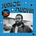 Junior Murvin – Cool Down The Heat