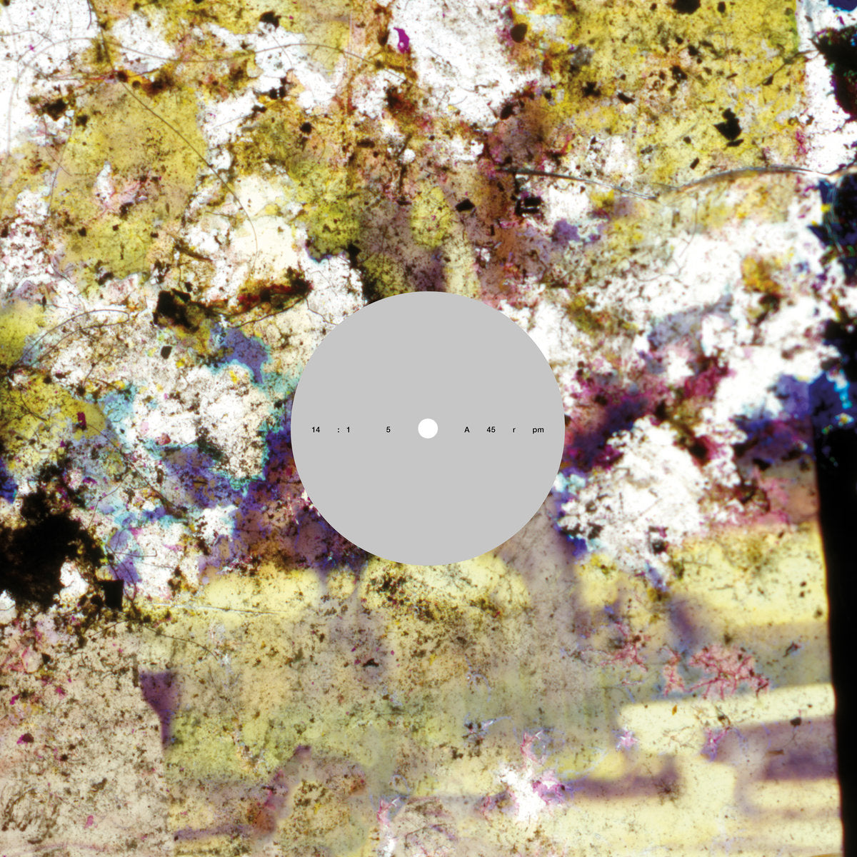 Lorenzo Fortino ‎– Istanti Per Volare Via