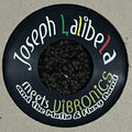 Joseph Lalibela meets Vibronics & Mafia & Fluxy Band ‎– Chant Down Babylon
