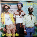 The Viceroys ‎– We Must Unite