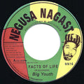 Big Youth – Facts Of Life / Medicine Doctor