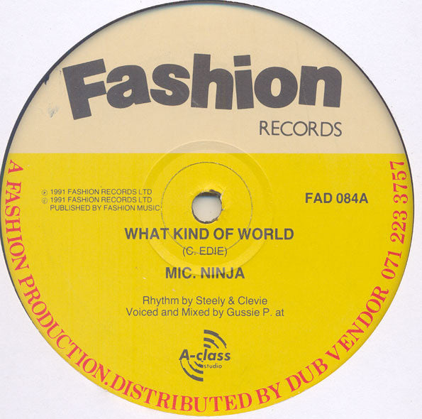 Mic. Ninja – What Kind Of World / Too Much Gun