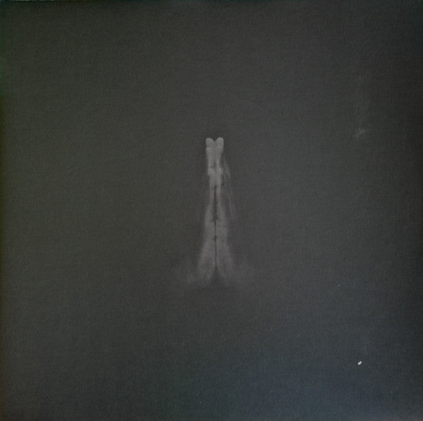 Sault ‎– Untitled (Rise)