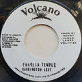Barrington Levy – Shaolin Temple