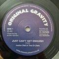 Junior Dell & The D-Lites- Just Can't Get Enough