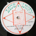 Danny Adams / Jah Woosh ‎– I Will Never Let You Go Our Of My Life / Dreadlock