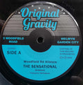 Woodfield Rd Allstars – The Sensational