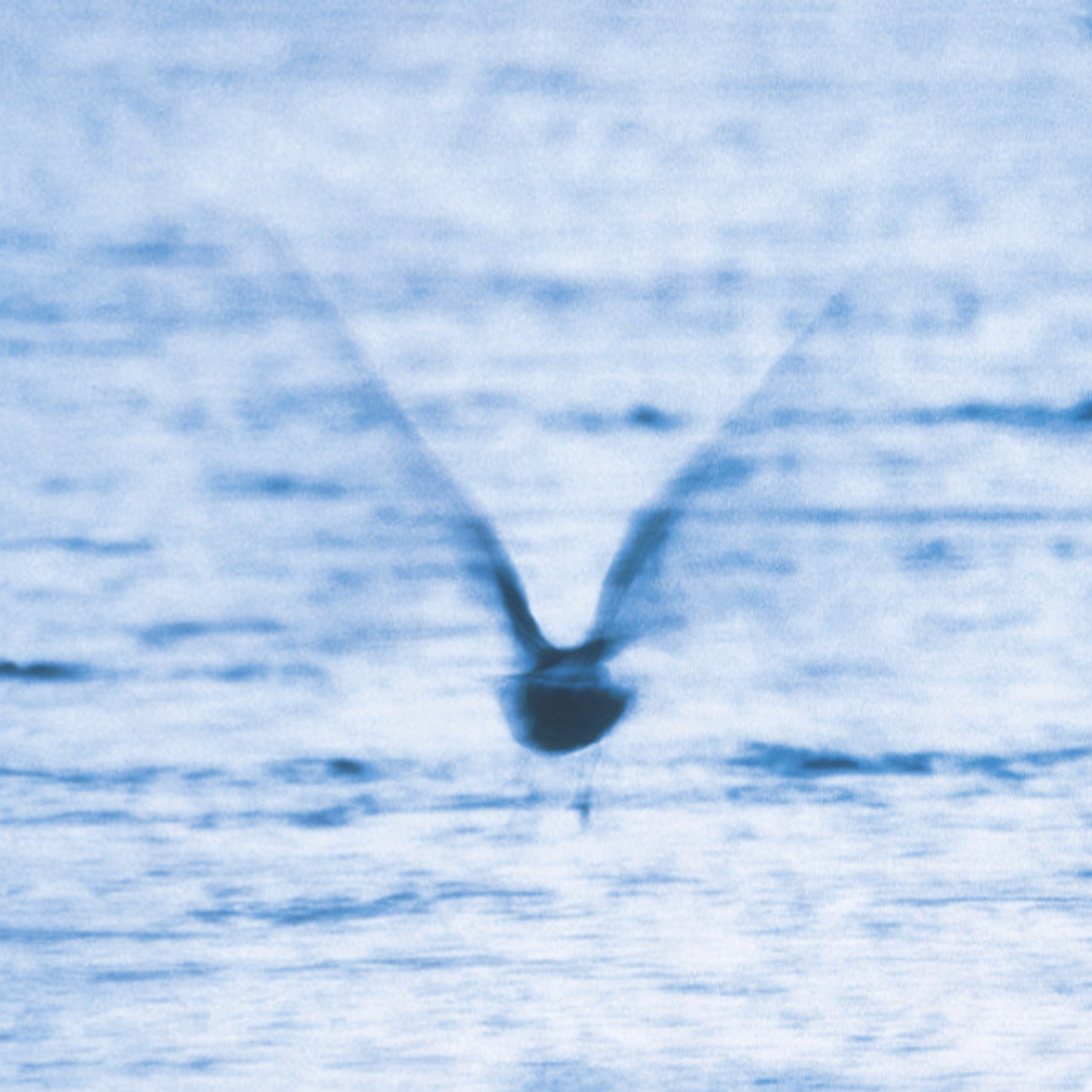 Ryo Fukui ‎– Mellow Dream (Reissue, Half Speed Mastered)