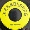 Roberto Sánchez, Message  – Words Of My Mouth / Meditation Of My Dub