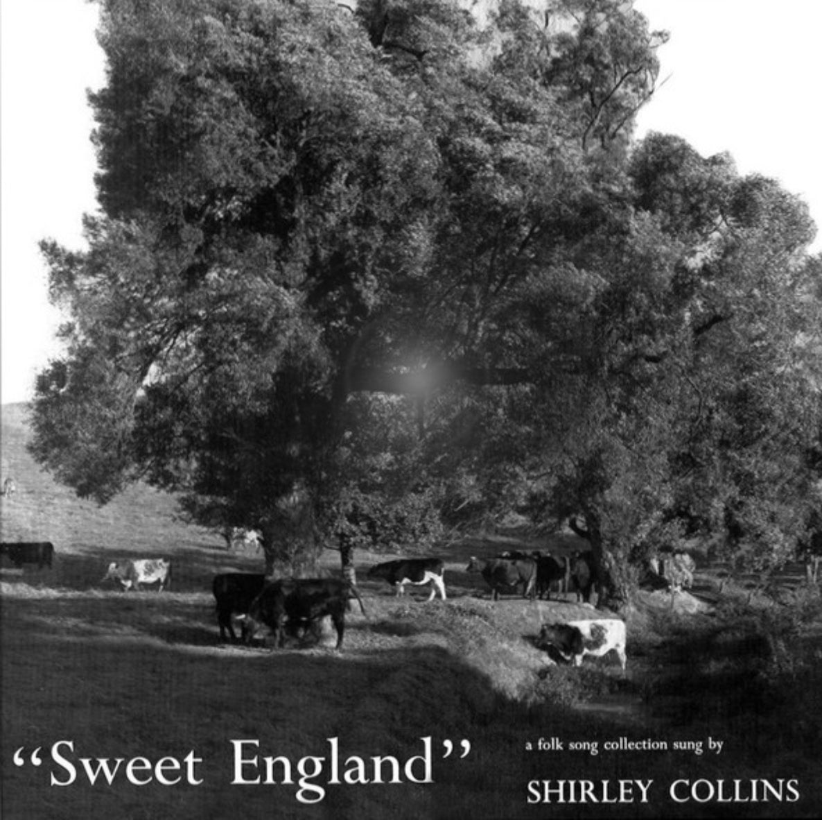 Shirley Collins ‎– Sweet England