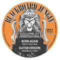 Reality Souljahs / Afrikan Simba / Rockdis All Stars – Born Again / Ark Of The C