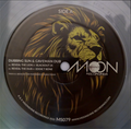 Dubbing Sun, Caveman Dub, Small Town Dubz ‎– Reveal The Lion / Babylon A Fall